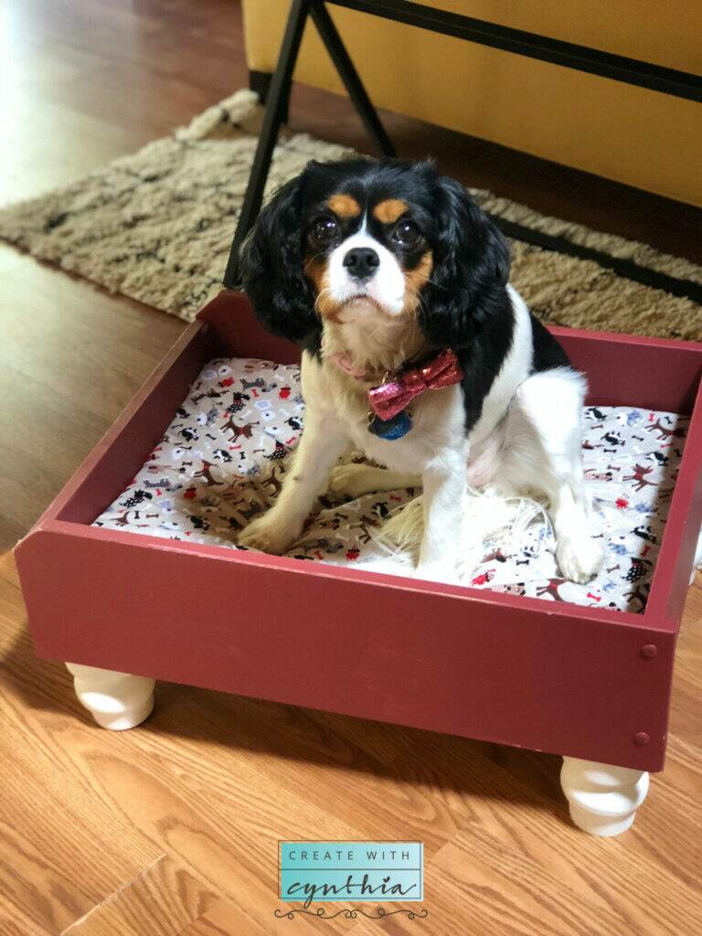 SOfy in her bed!