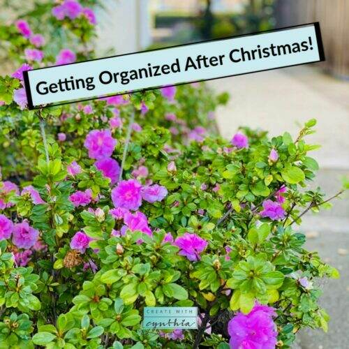 create with cynthia, cynthia nessel, christmas organization,