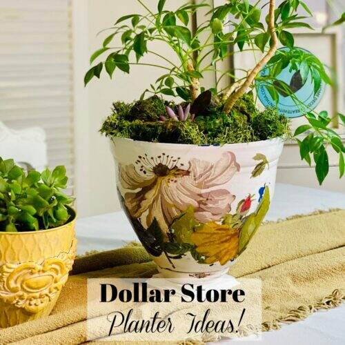 Dollar Store Planter Ideas on Create With Cynthia