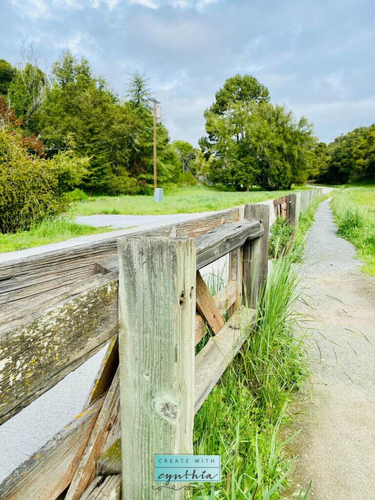 My favorite fence on Weekly Round Up.