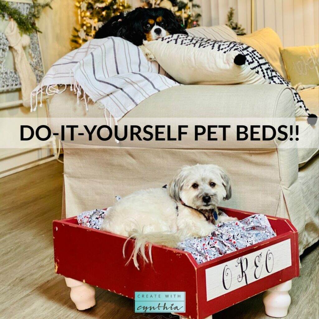 Do-It-Yourself Pet Beds on the Weekly Round Up!