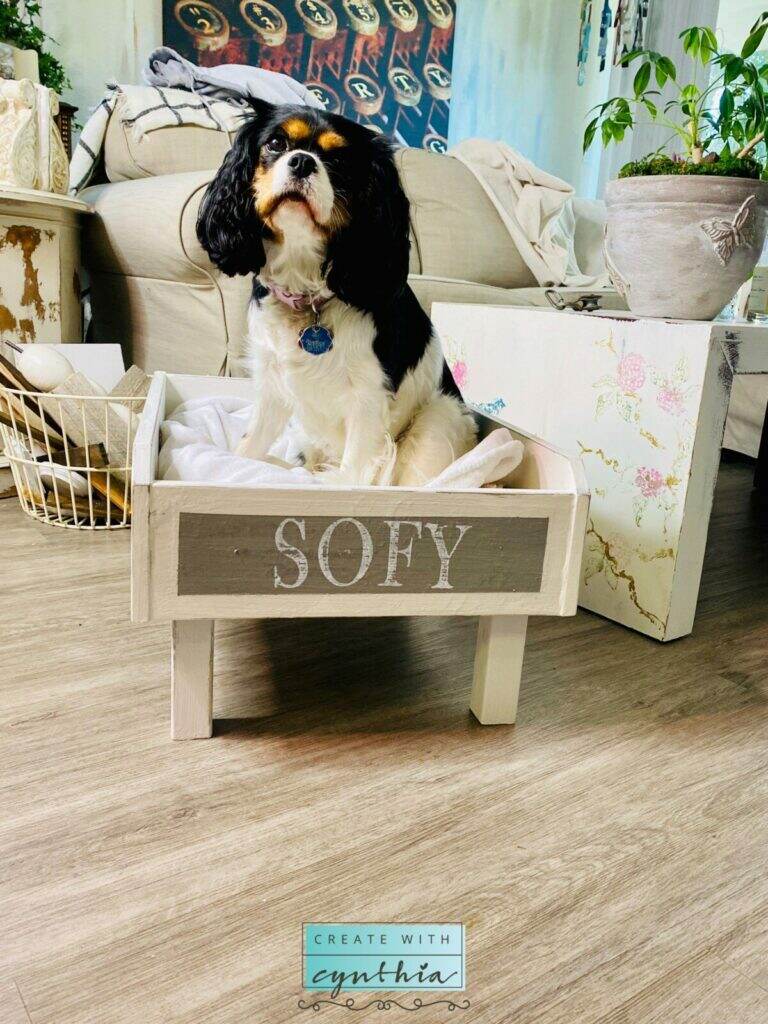 Sofy in her new dog bed.