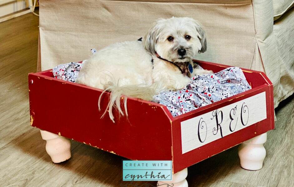 Oreo in his dog bed!