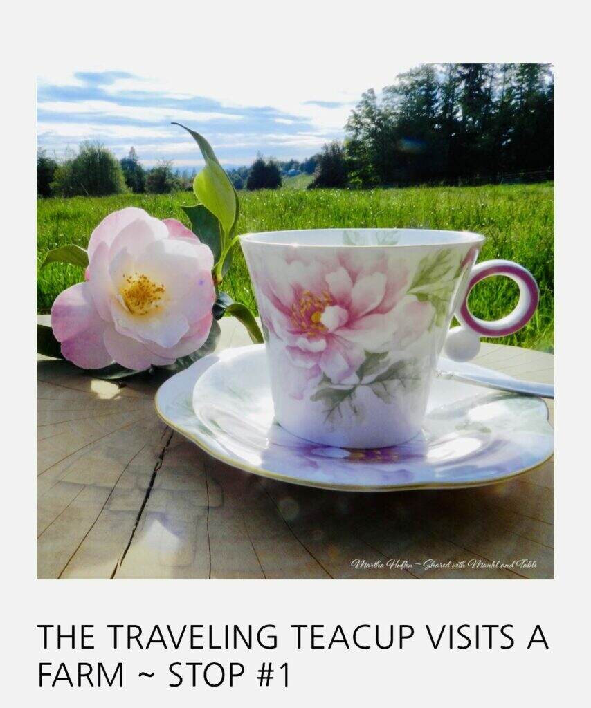 The Traveling Teacup visits a Farm.