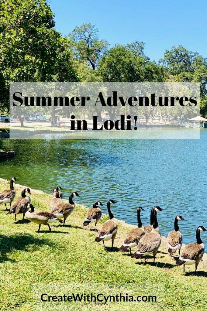 Summer Adventures in Lodi.