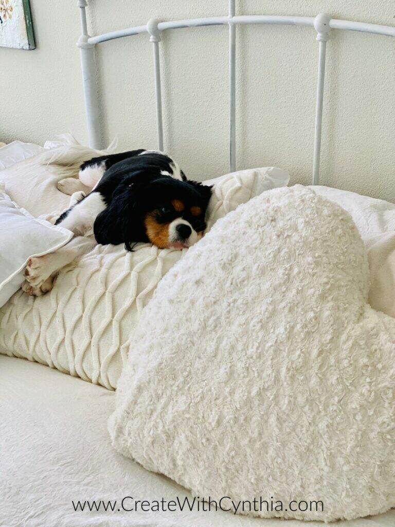 Sofy on the bed.