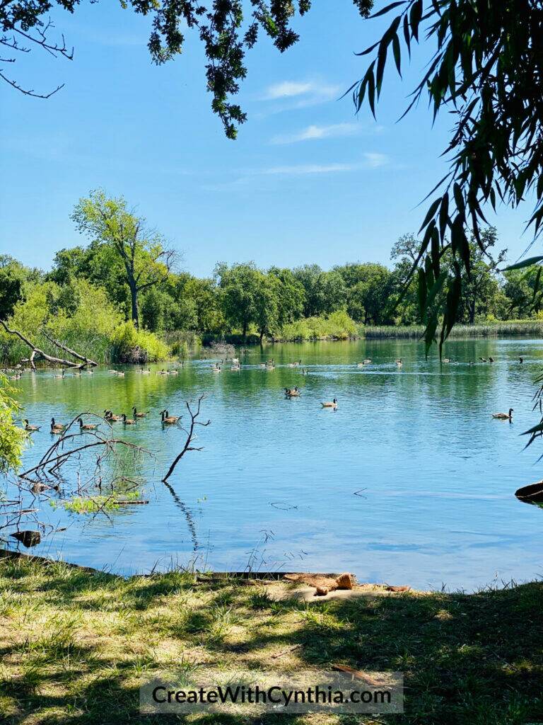 Summer Adventures at Lodi Lake.