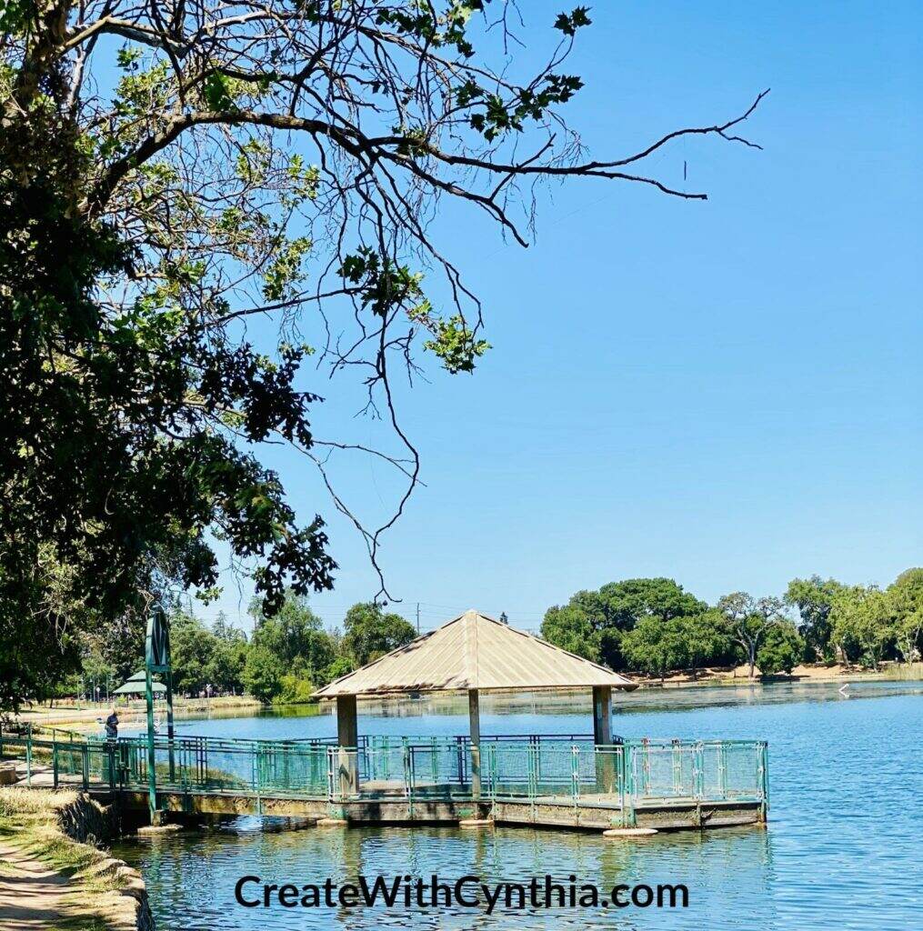 The Boat Dock at Lodi Lake on Summer Adventures.