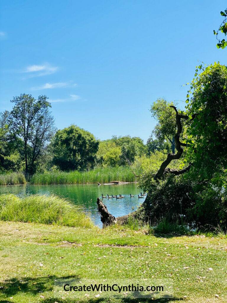 The Lake on Summer Adventures.