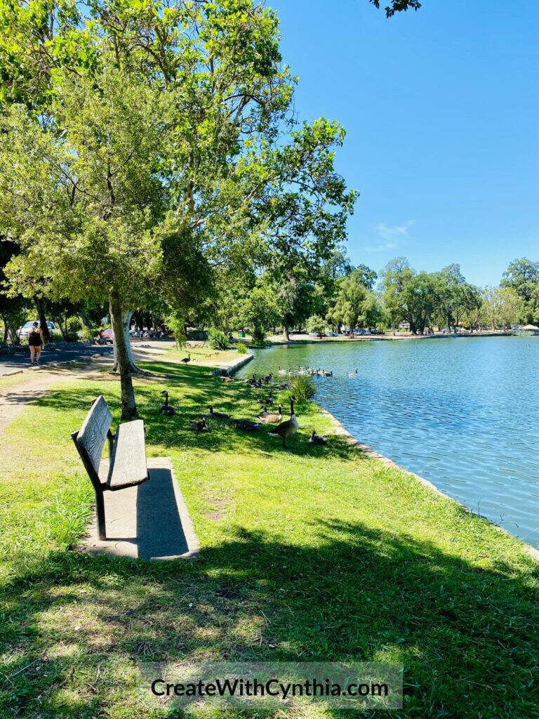 The Perfect Bench on Summer Adventures.