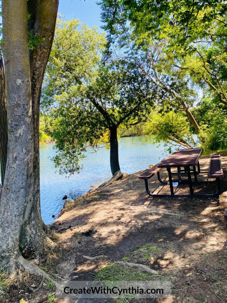 The picnic tables at Lodi Lake on Summer Adventures.