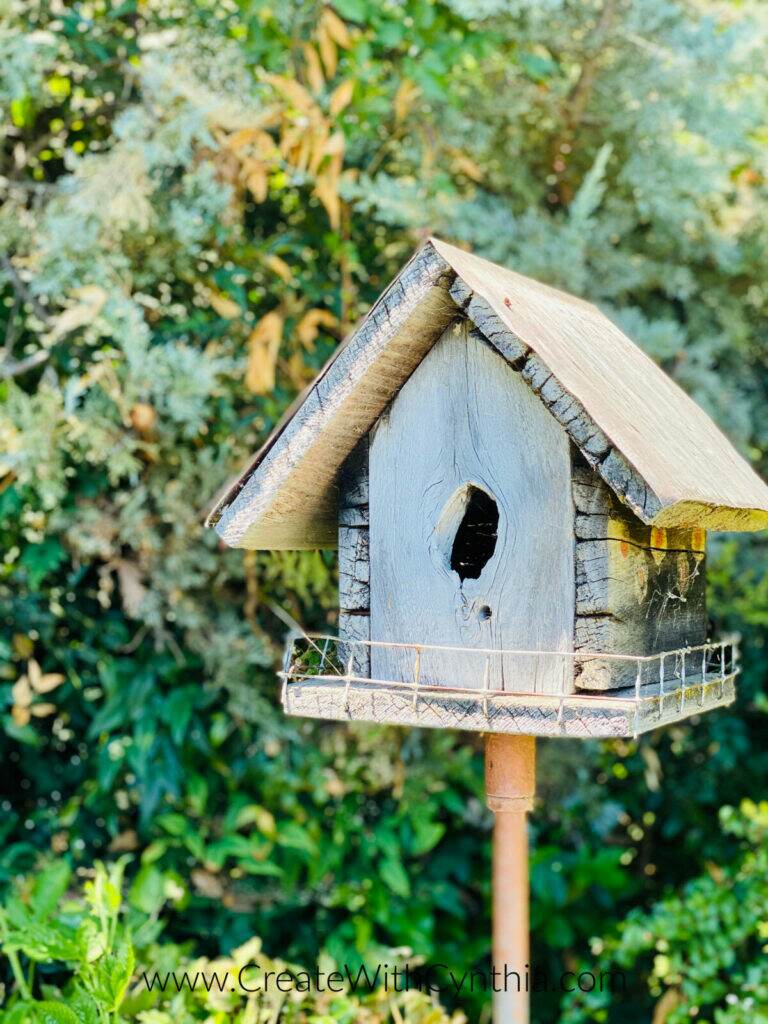 The birdhouse my Dad built.