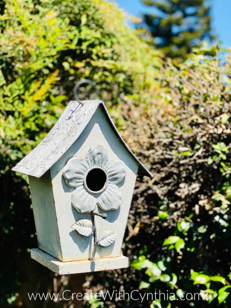 The Birdhouse